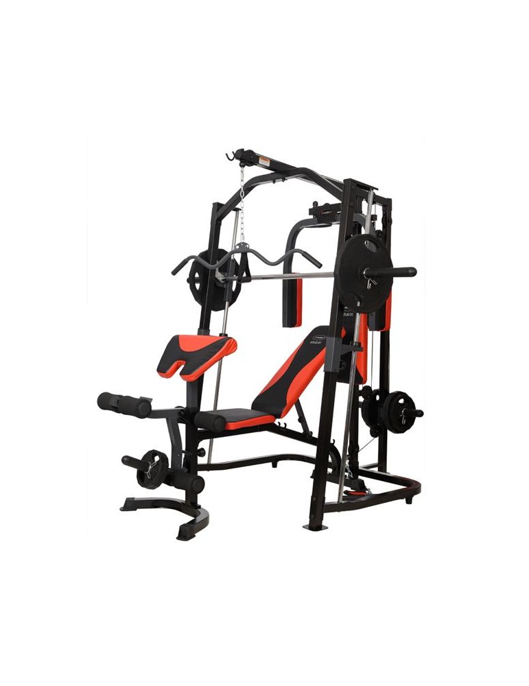 Chaise romaine musculation 135 kg