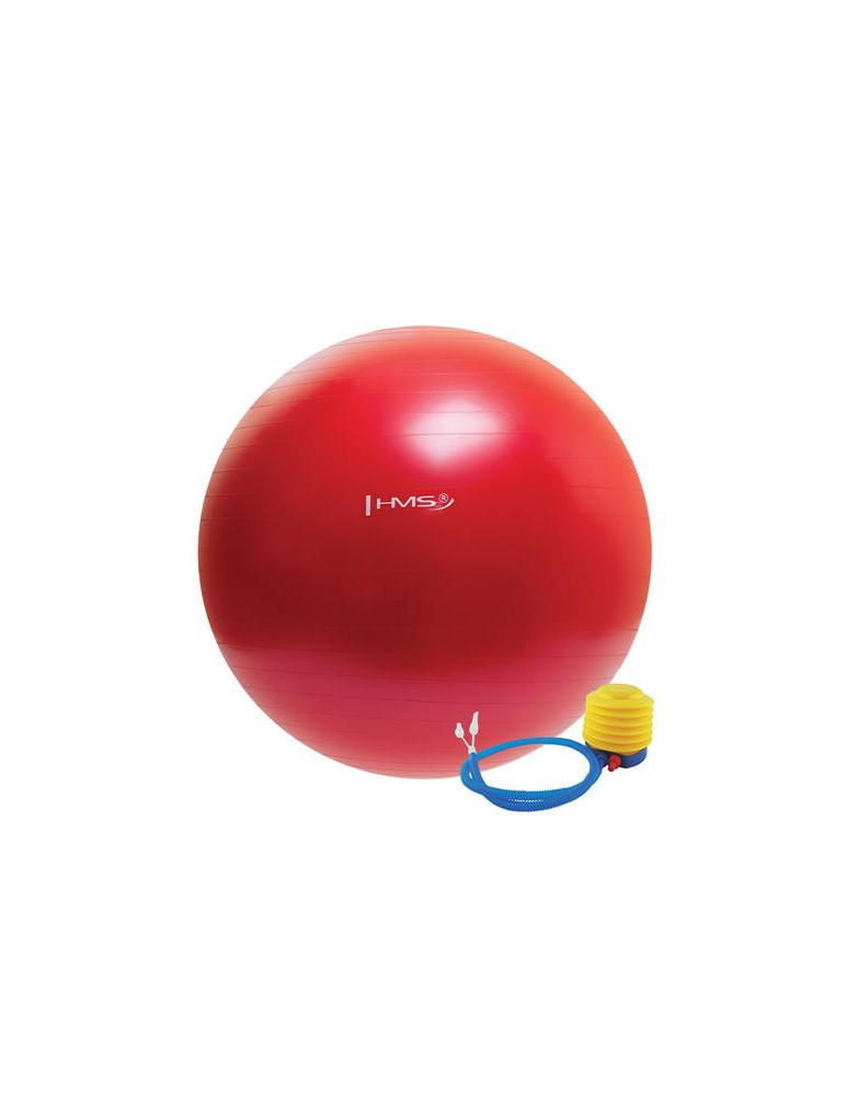 Ballon d'exercice en caoutchouc pour l'entraînement