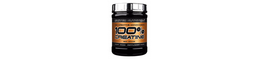 Créatine monohydrate en poudre 500 g ou 1000 g - nutrition sportive