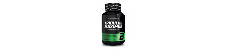 Pot de 90 comprimés de tribulus Maximus - Booster de testostérone naturel