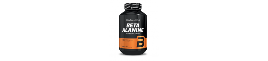 Bêta-alinine en poudre ou capsules de marque Biotech USA