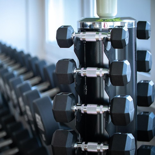 Set d'haltères pour salle de fitness et musculation